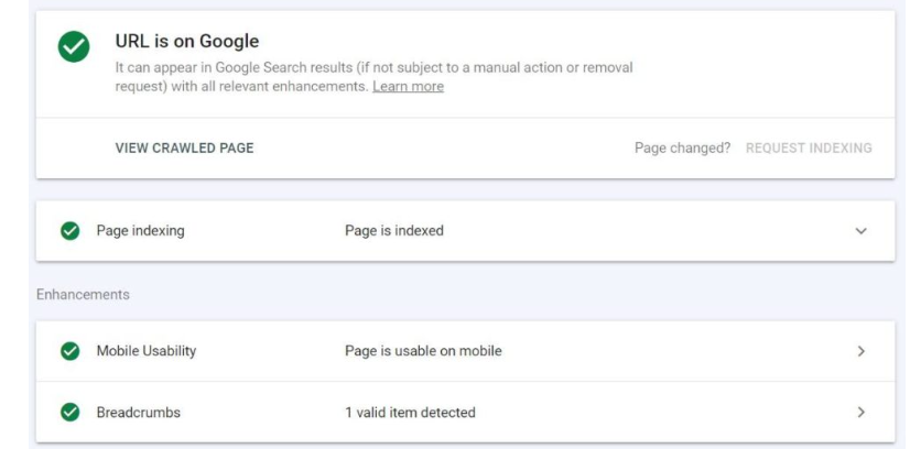 Simple Steps To Conduct An Effective SEO Audit 11 Proper Indexation
