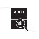 Comprehensive Citation Audit