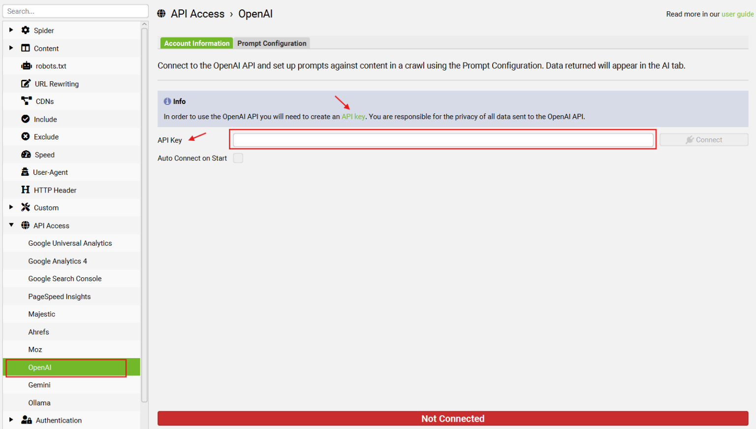 Enter-your-OpenAI-API-key